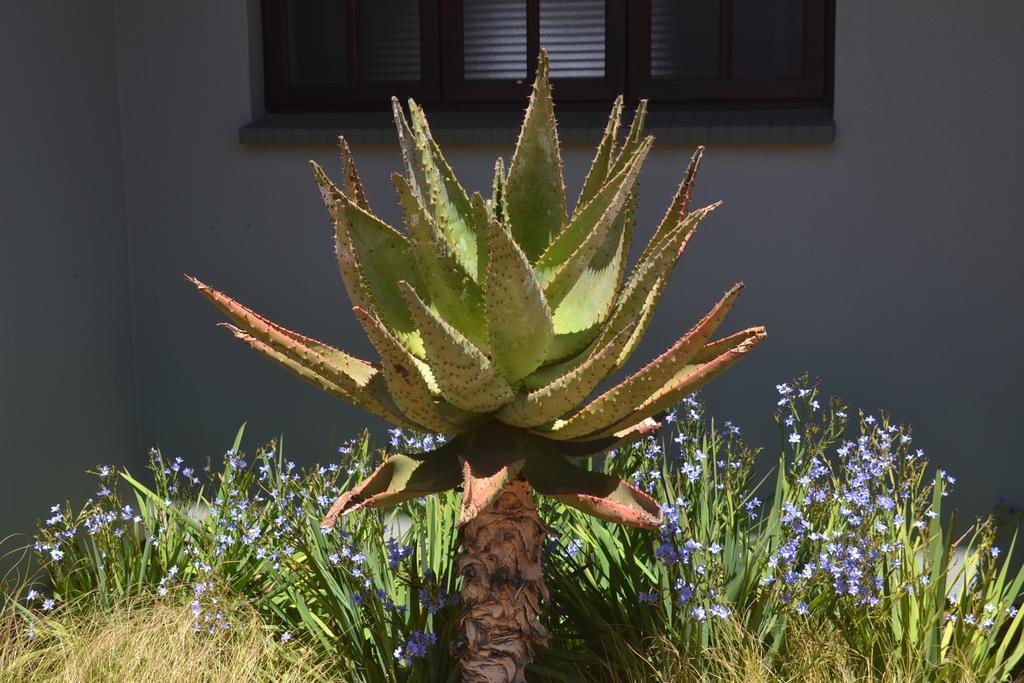 Be At Home Guesthouse Klerksdorp Esterno foto